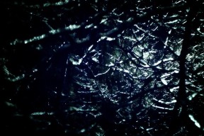 世界体能挑战赛：综合评估体系促成跨界交流，体能世界纪录