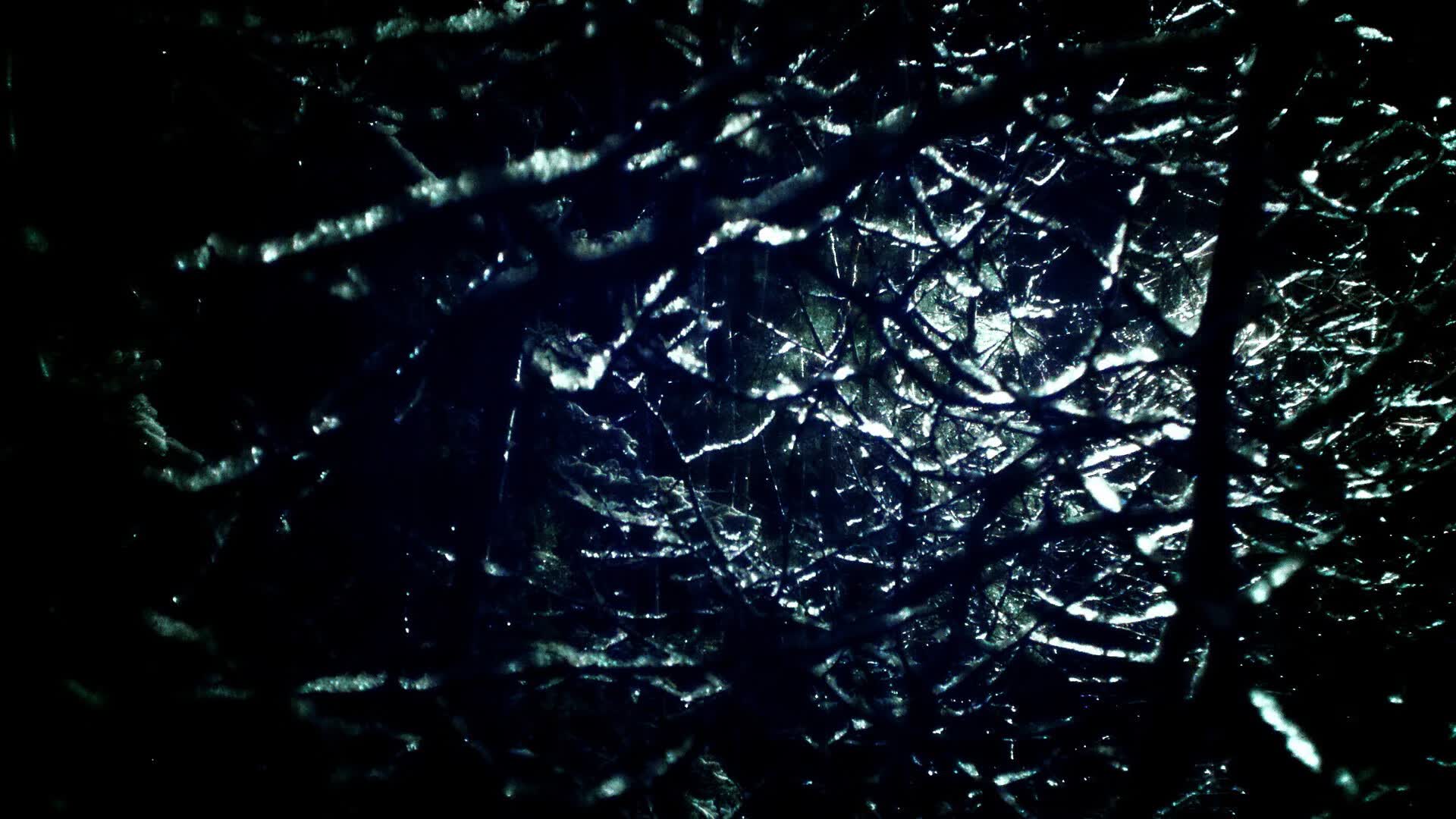 世界体能挑战赛：综合评估体系促成跨界交流，体能世界纪录